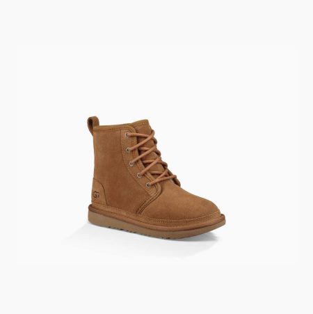 UGG Harkley Brown Boots for Kids (XAWQ62578)